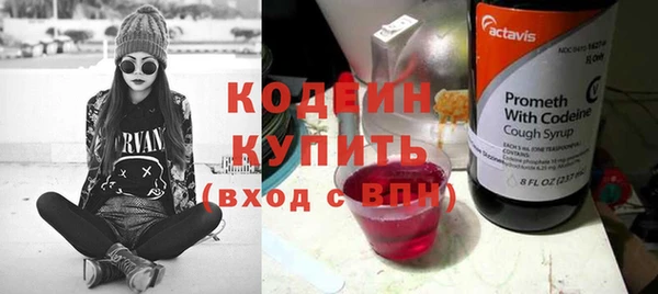 ешки Корсаков
