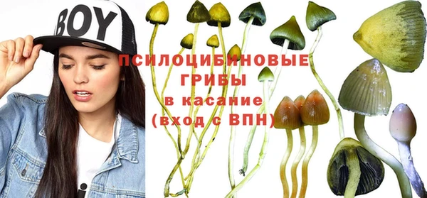 хмурый Балабаново