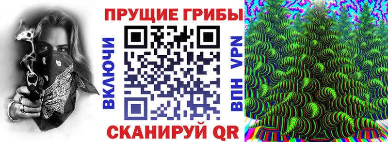 наркота  OMG как зайти  Псилоцибиновые грибы GOLDEN TEACHER  Бирюсинск 